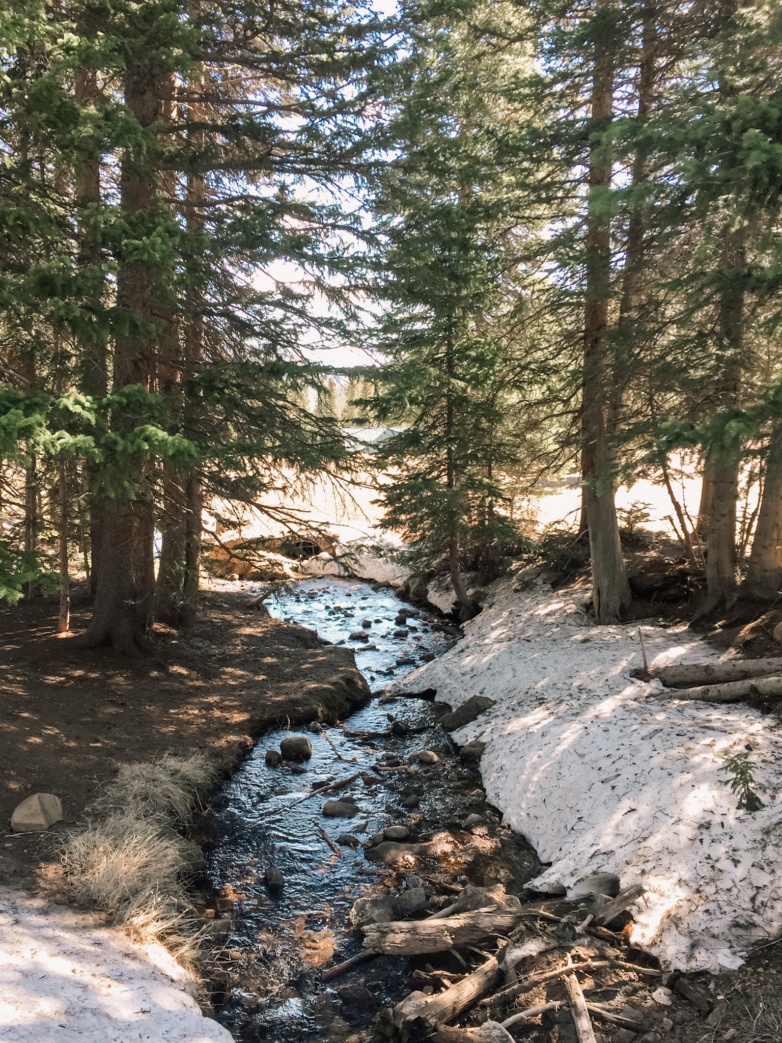 day trip rocky mountain national park