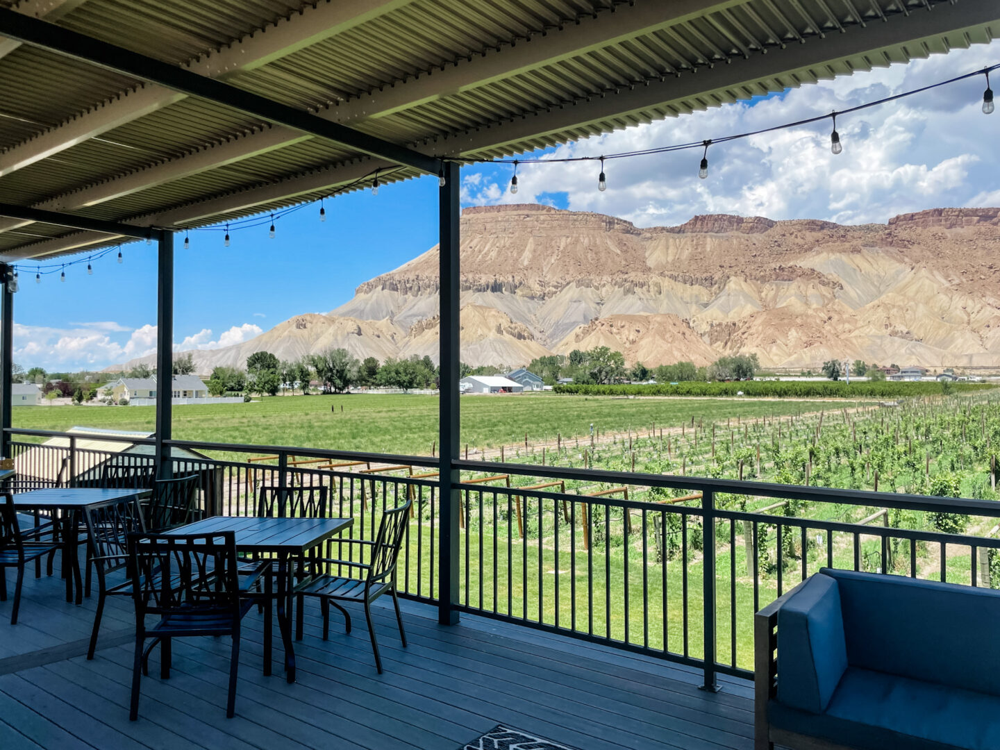 A Quick Guide to the Best Wineries in Palisade, Colorado