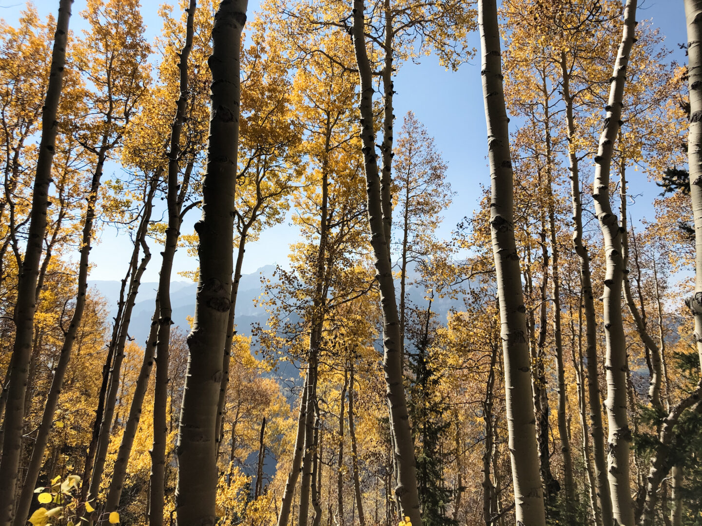 11 Stunning Colorado Mountain Towns to Visit (Instead of Aspen)